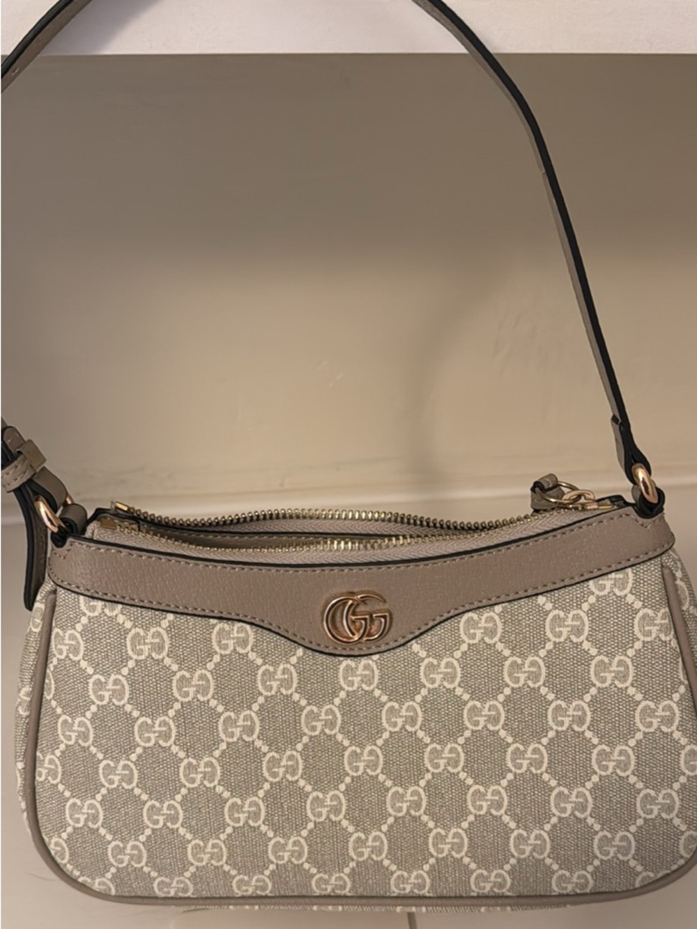 GG inspired purse